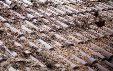 Fromebridge roof cleaning companies